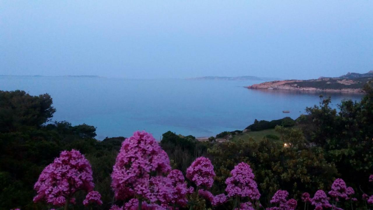 Appartamento Fronte Mare Santa Teresa Gallura Kültér fotó